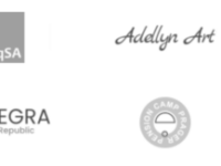 AkioSurvey screenshot 3