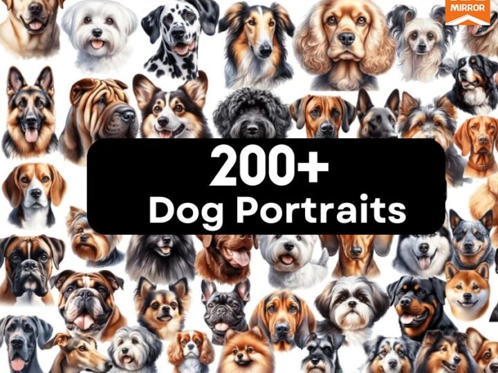 200+ Dog Portraits