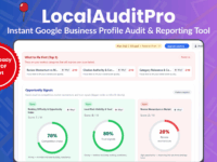 LocalAuditPro